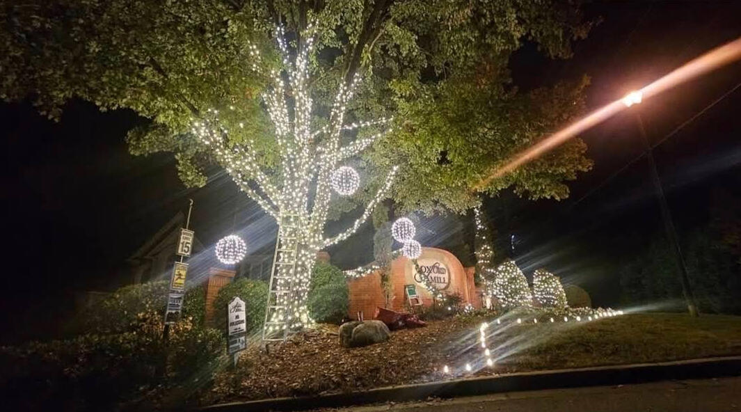 HOA entrance Neighborhood entrance with wrapped trees, hanging light spheres and lit shrubs
